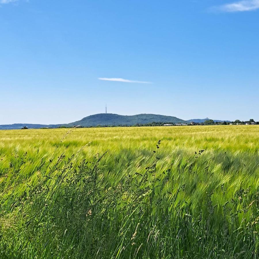 Ferienwohnung Mit Bauernhofflair Löbau Exteriér fotografie